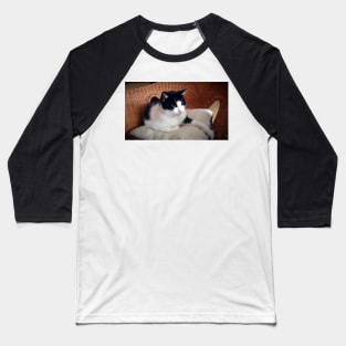 Cat Kitti on the armchair Baseball T-Shirt